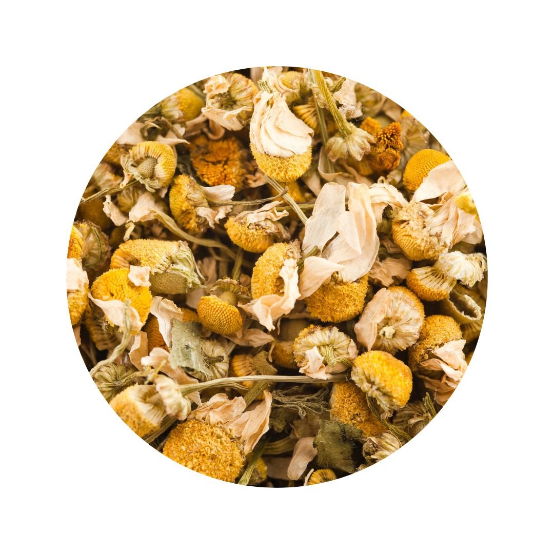Chamomile - XO Tigerlily