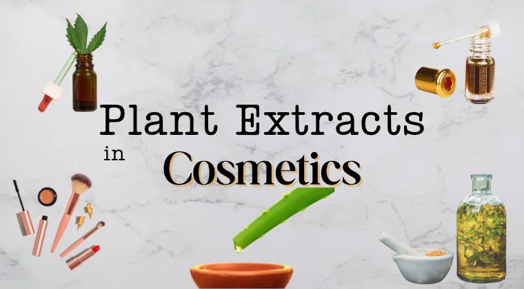Plant Extracts in Cosmetics - XO Tigerlily