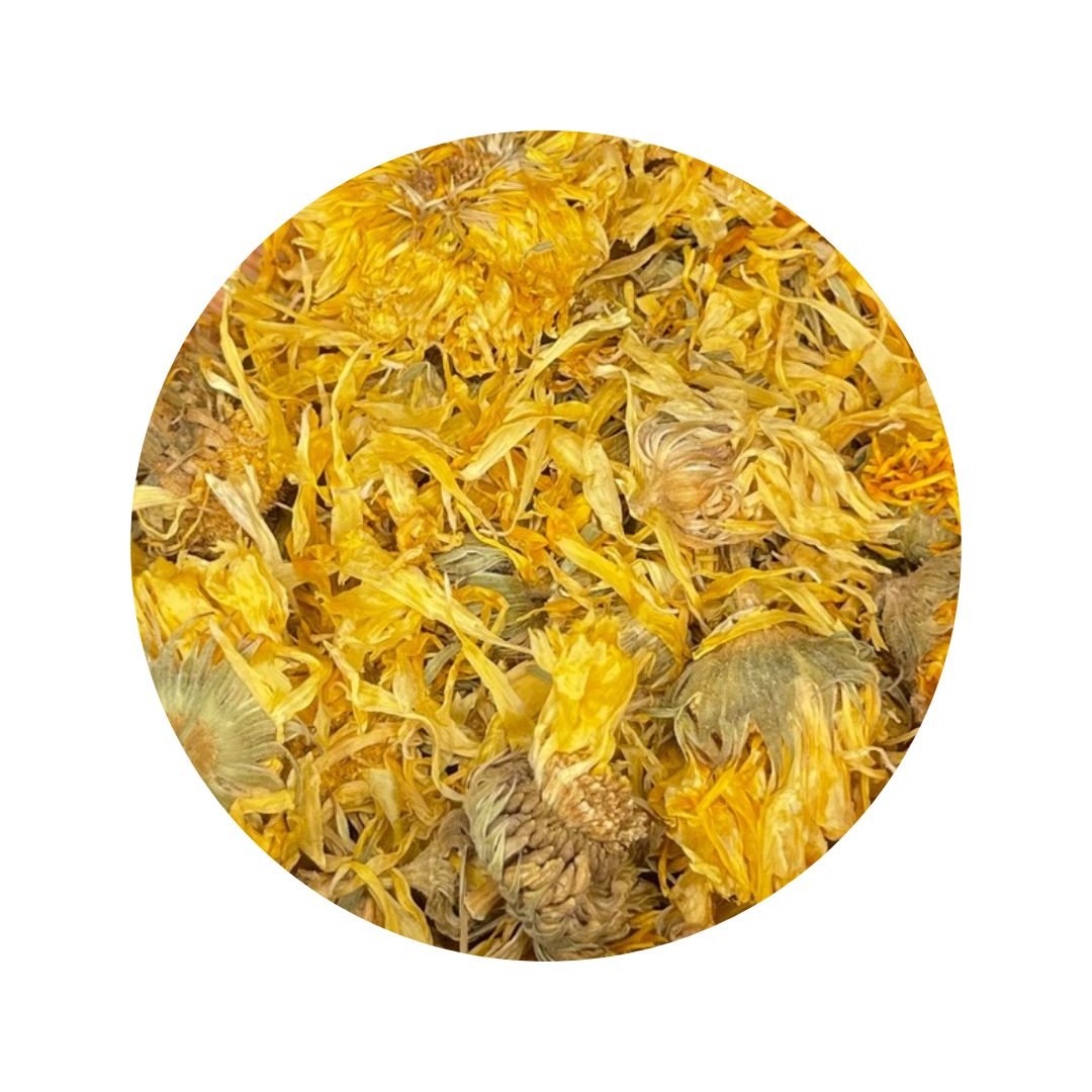 Calendula - XO Tigerlily